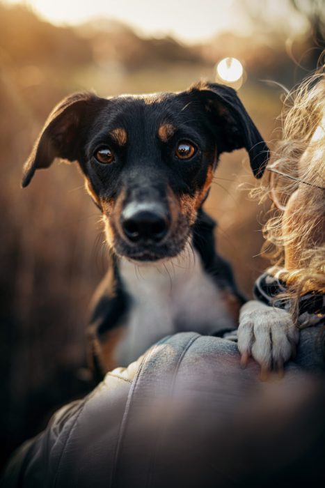 web-dasBildprojekt_Z65_3044